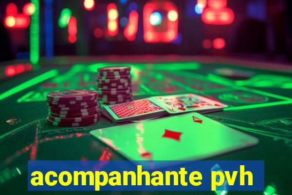 acompanhante pvh